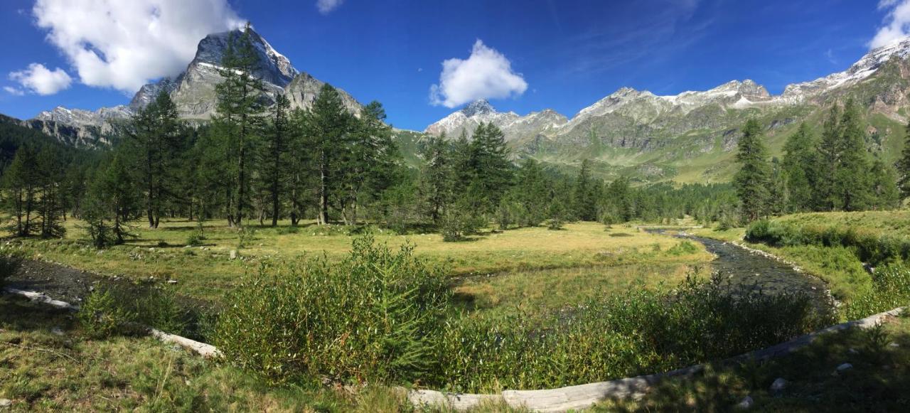 Casa Vacanza In Tipico Chalet Di Montagna Villa Varzo Eksteriør billede