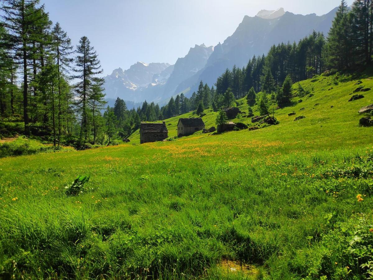 Casa Vacanza In Tipico Chalet Di Montagna Villa Varzo Eksteriør billede