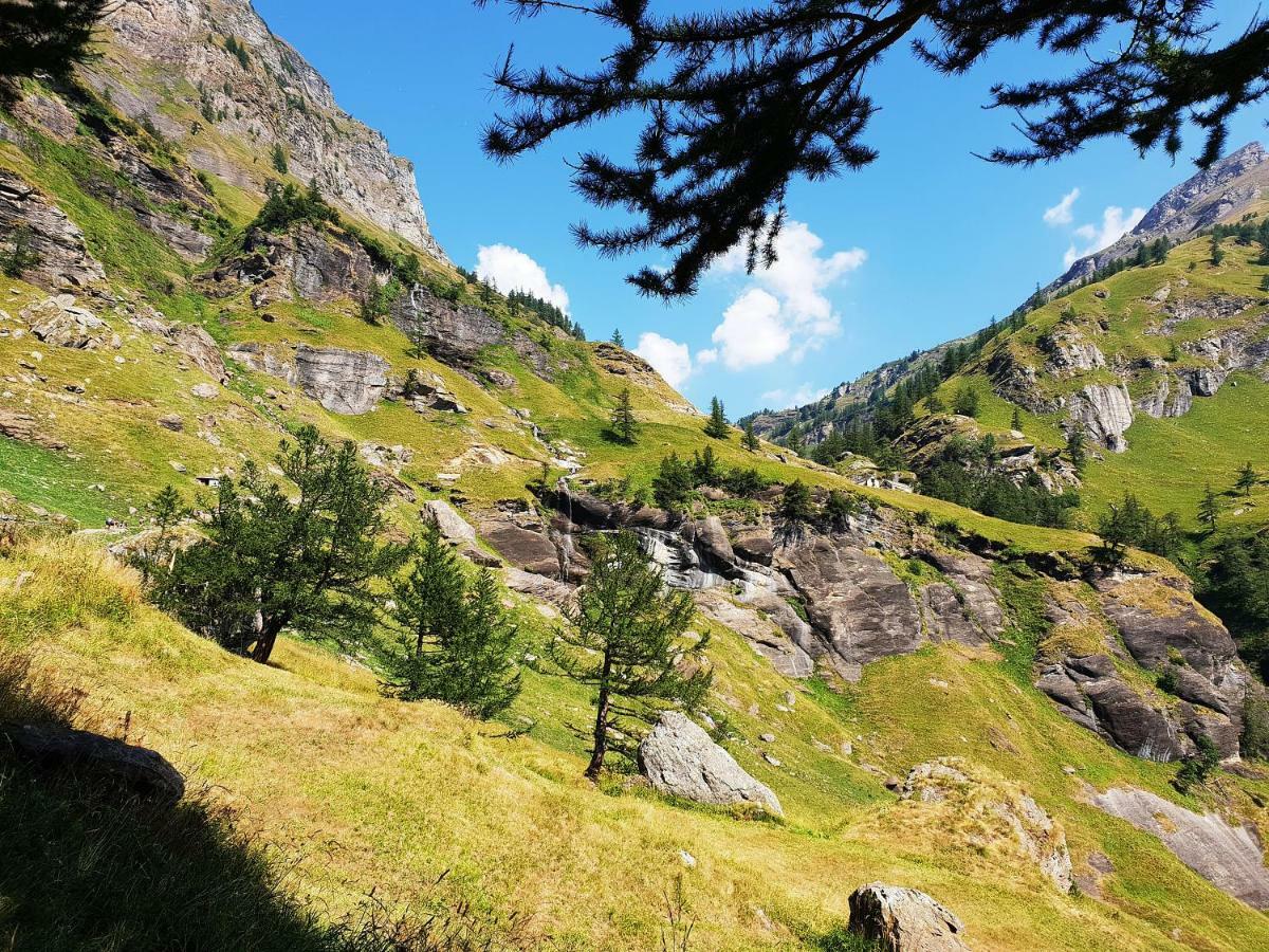 Casa Vacanza In Tipico Chalet Di Montagna Villa Varzo Eksteriør billede