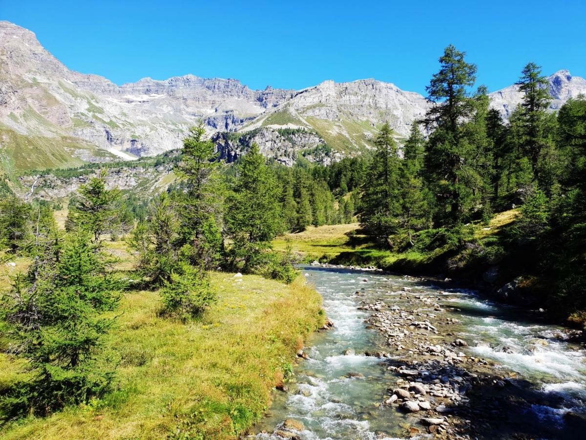 Casa Vacanza In Tipico Chalet Di Montagna Villa Varzo Eksteriør billede