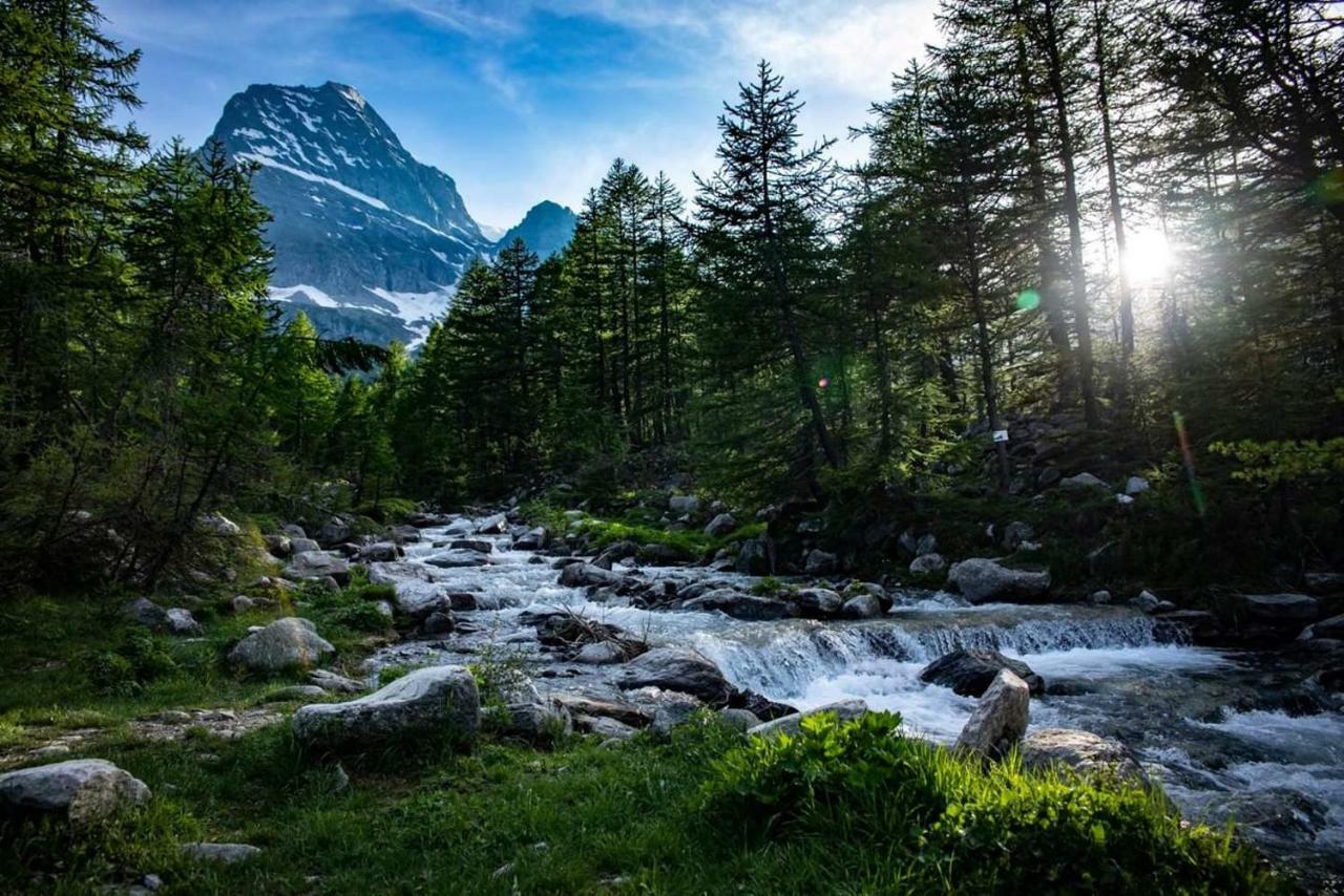 Casa Vacanza In Tipico Chalet Di Montagna Villa Varzo Eksteriør billede